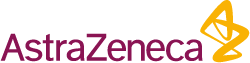 logo Generální partner